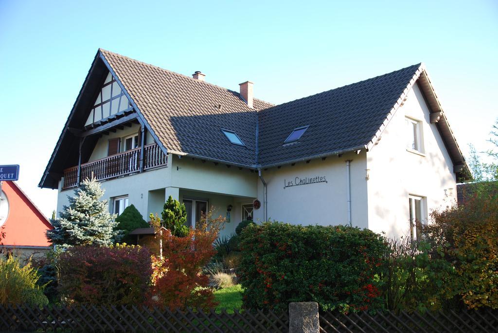 Chambres D'Hotes Les Chalinettes Fegersheim Exterior foto